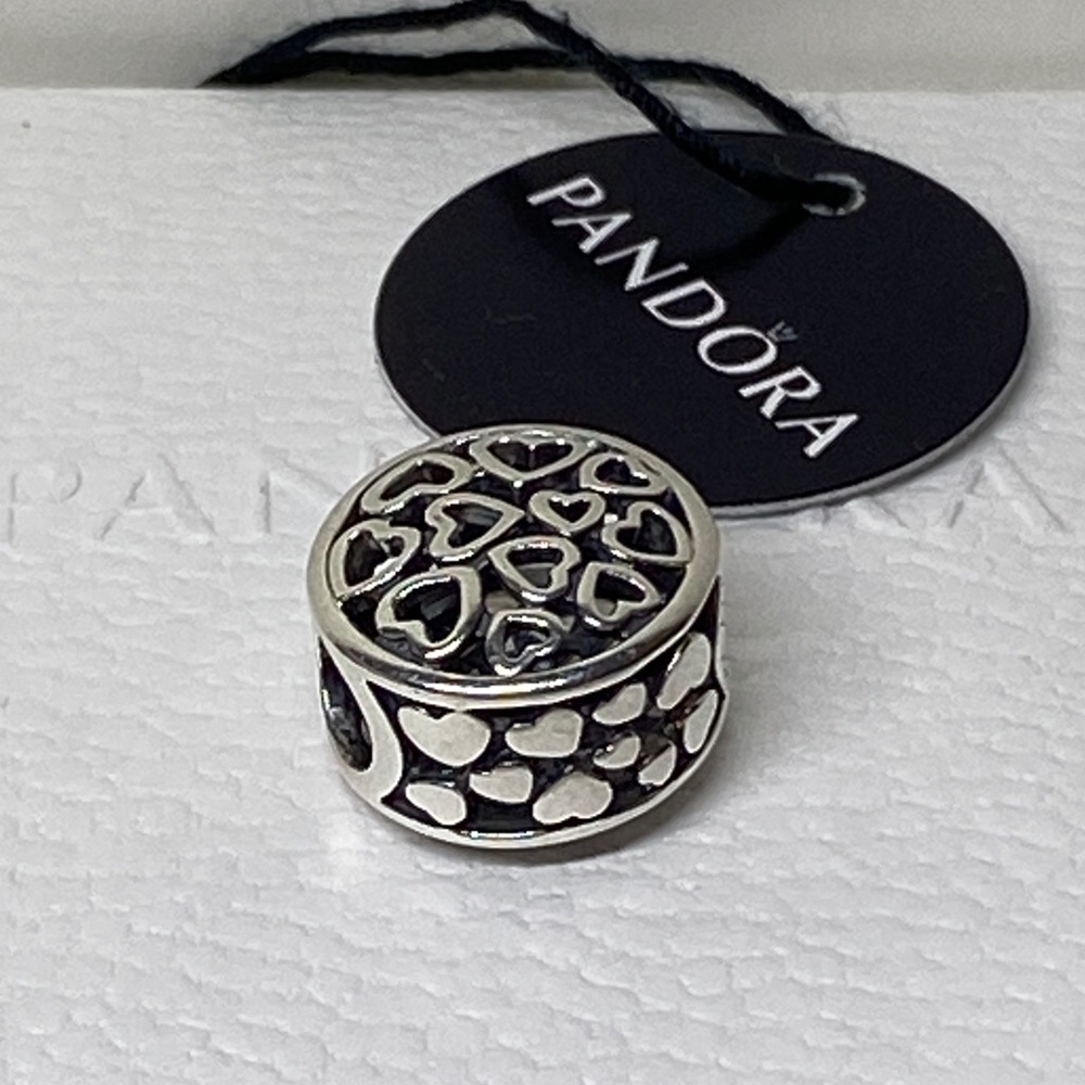 PANDORA SILVER CHARM LOVING SENTIMENTS #791980